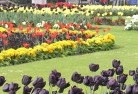 Mansfield Parkplanting-garden-and-landscape-design-25.jpg; ?>