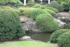 Mansfield Parkplanting-garden-and-landscape-design-27.jpg; ?>