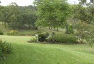 Mansfield Parkplanting-garden-and-landscape-design-51.jpg; ?>