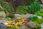 Mansfield Parkplanting-garden-and-landscape-design-69.jpg; ?>